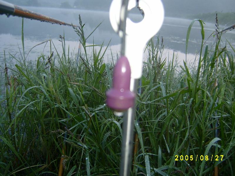 S4200245.jpg