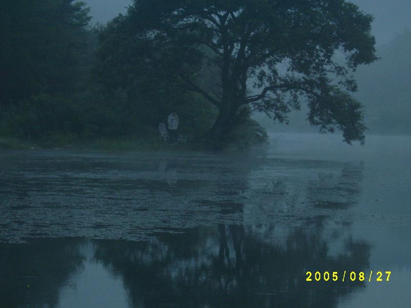 S4200246.jpg