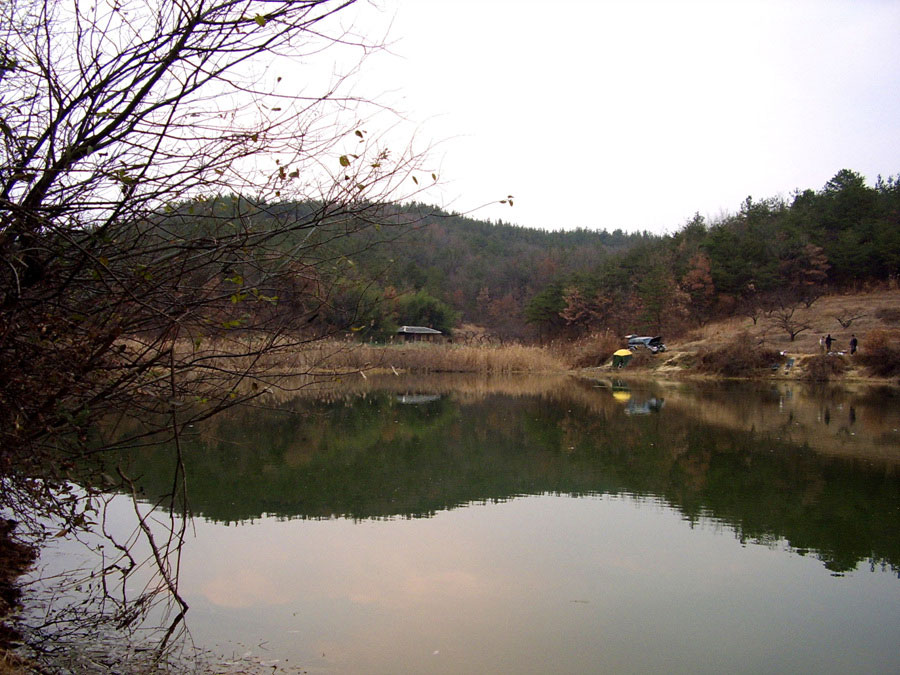 STA41082-13.jpg