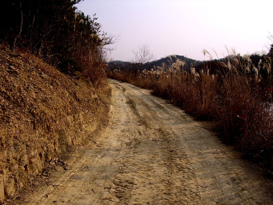 STA41173-16.jpg