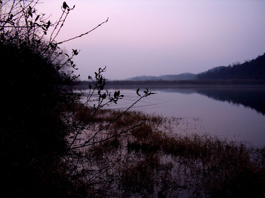 STA41173-2.jpg