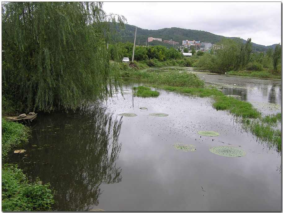 040911-03.jpg