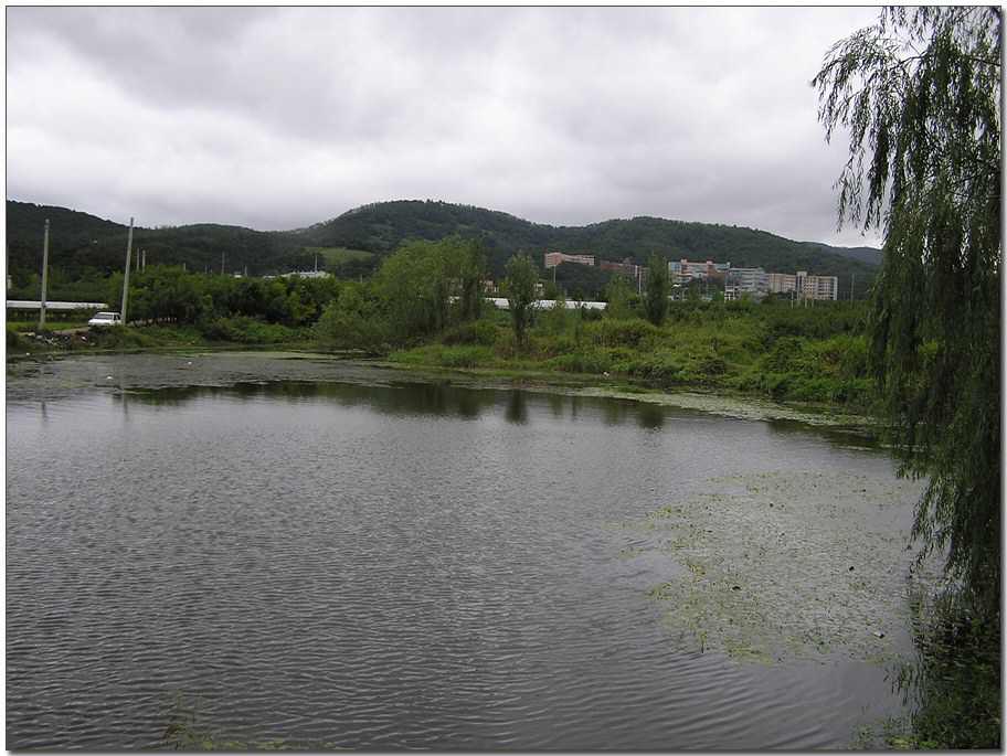 040911-05.jpg