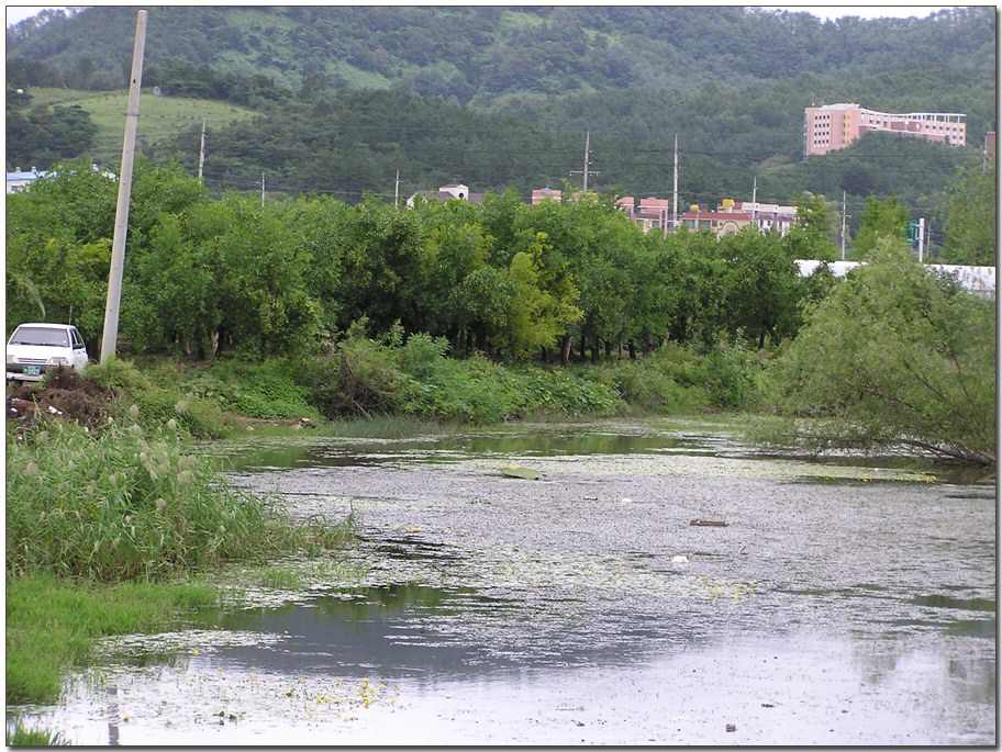 040911-07.jpg