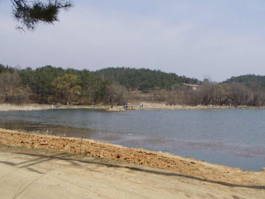030326-01.jpg