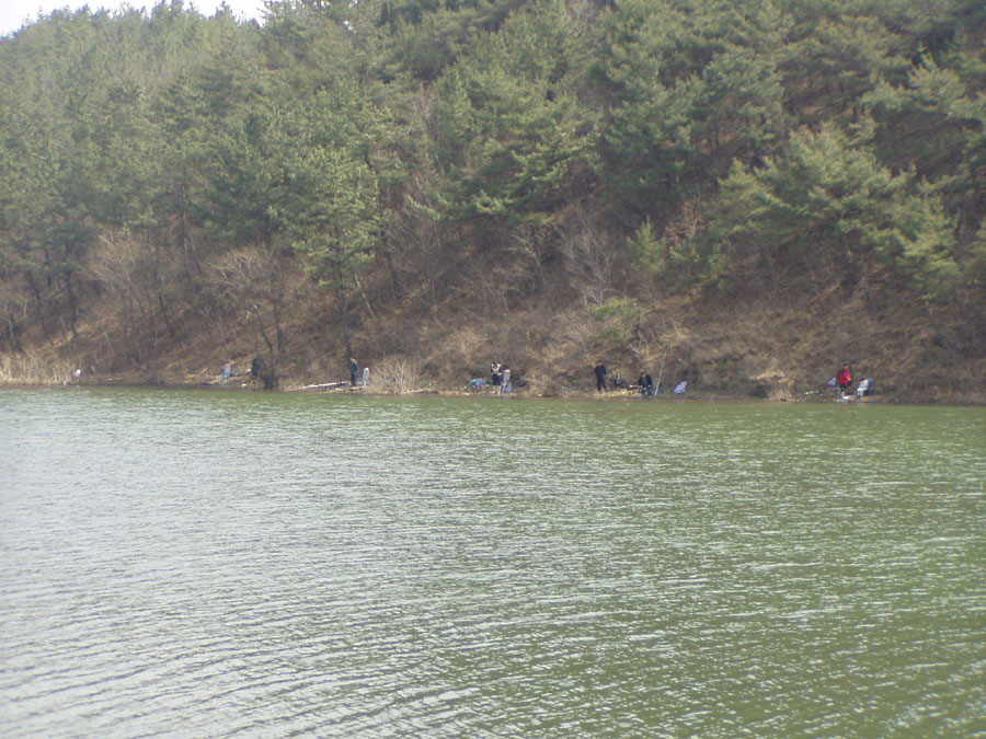 030326-03.jpg