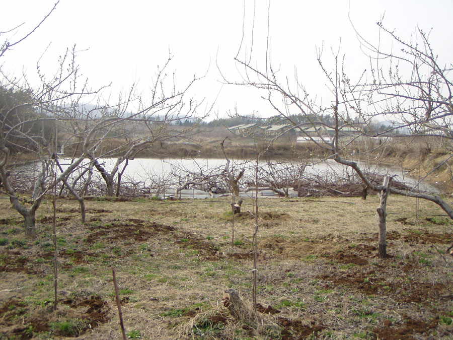 030326-04.jpg