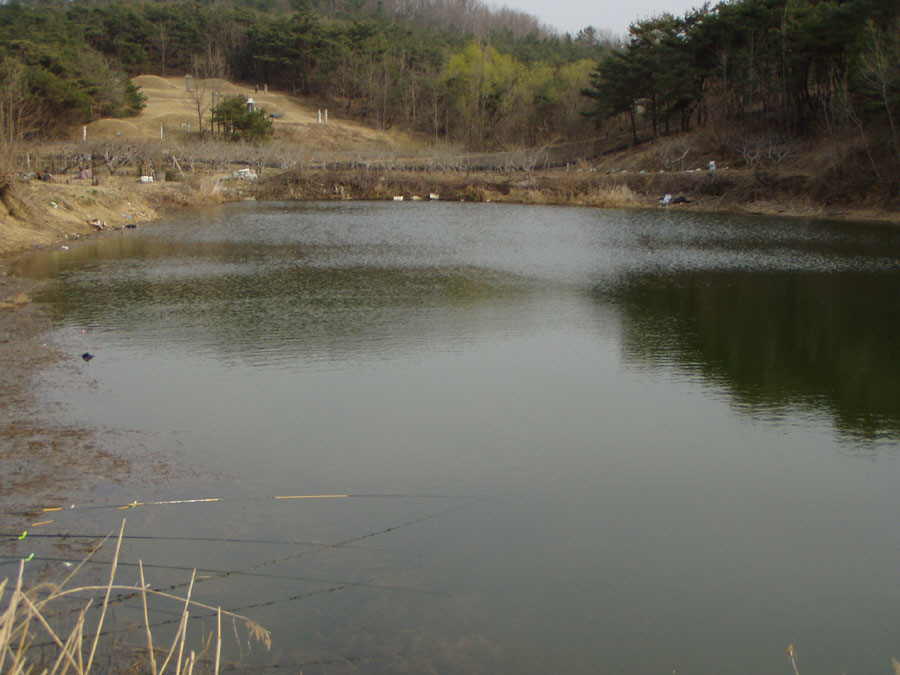 030326-05.jpg