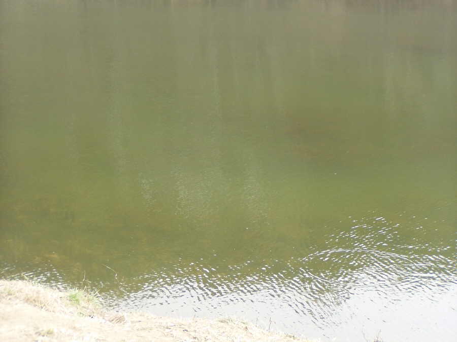 030326-06.jpg