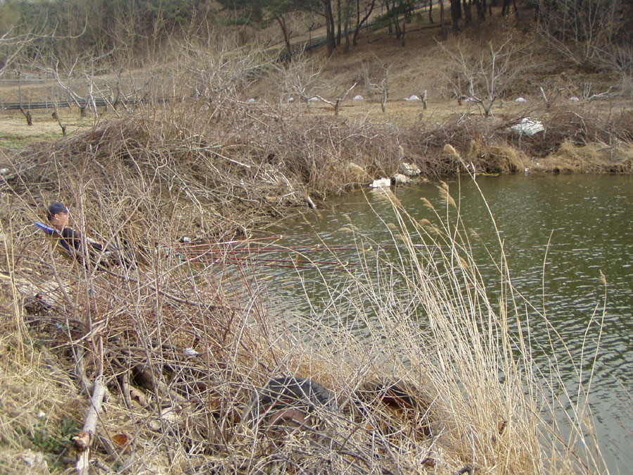 030326-08.jpg