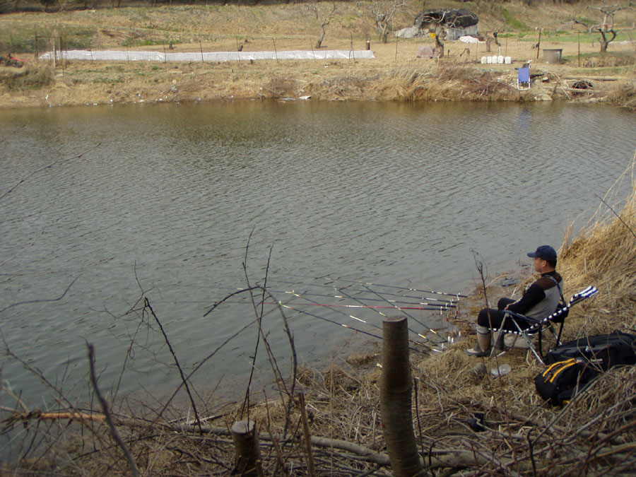 030326-12.jpg