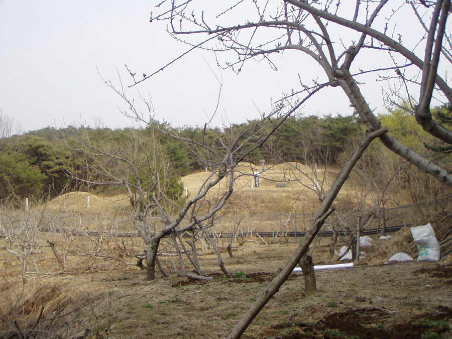 030326-16.jpg