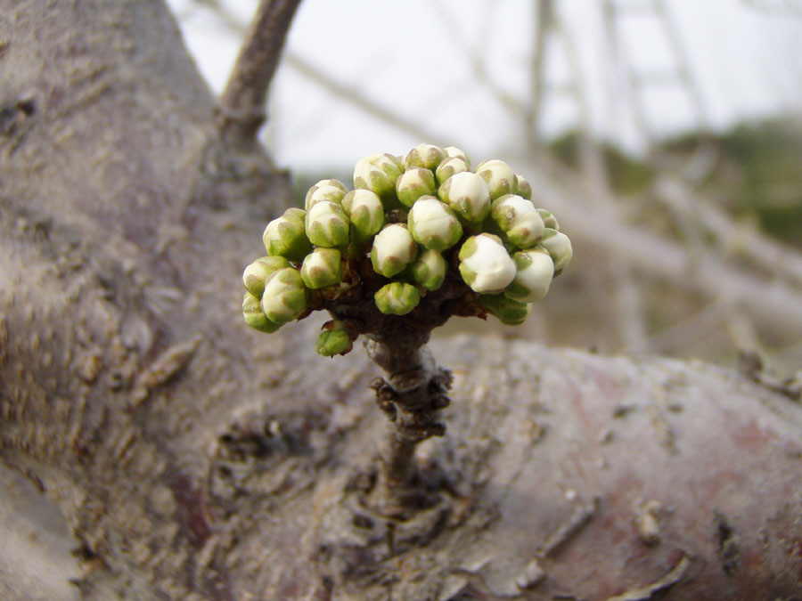 030326-19.jpg