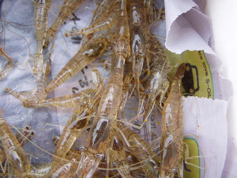 030326-21.jpg