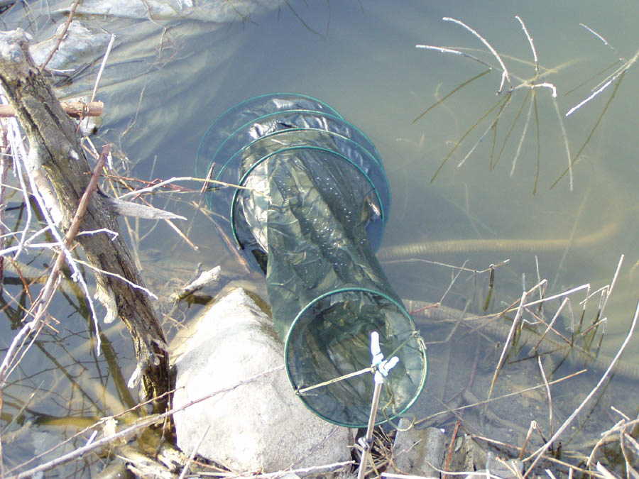 030326-26.jpg