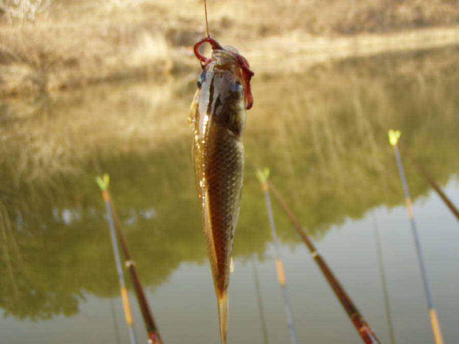 030326-29.jpg