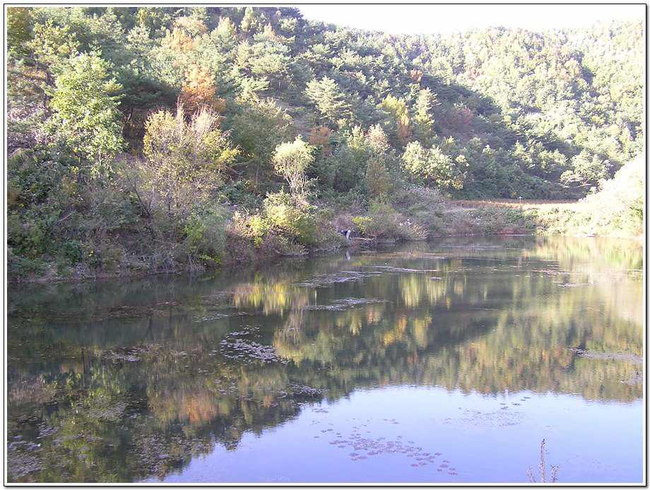 041023-05.jpg