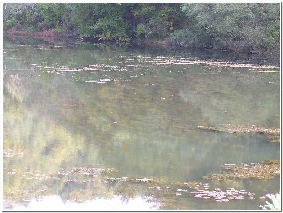 041023-07.jpg