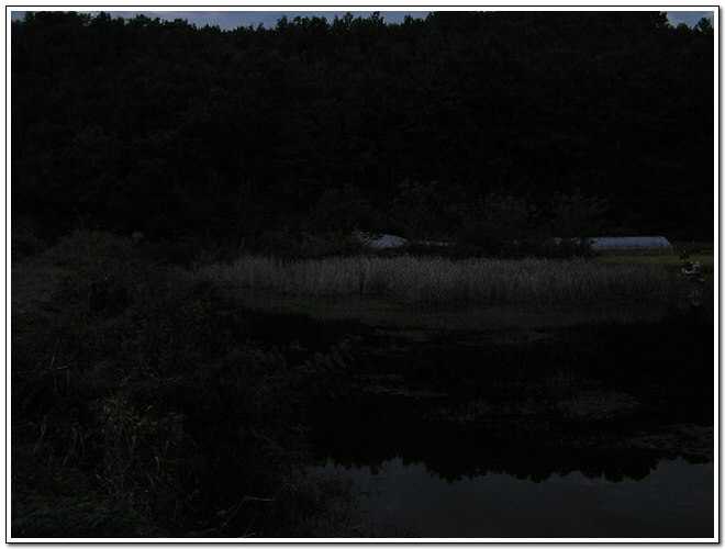041009-20.jpg
