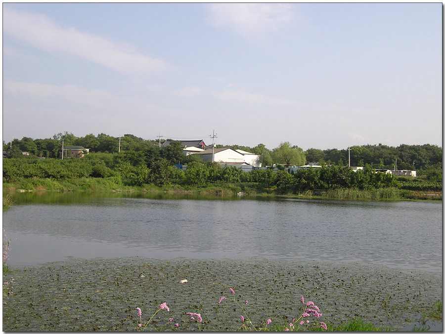 040904-09.jpg