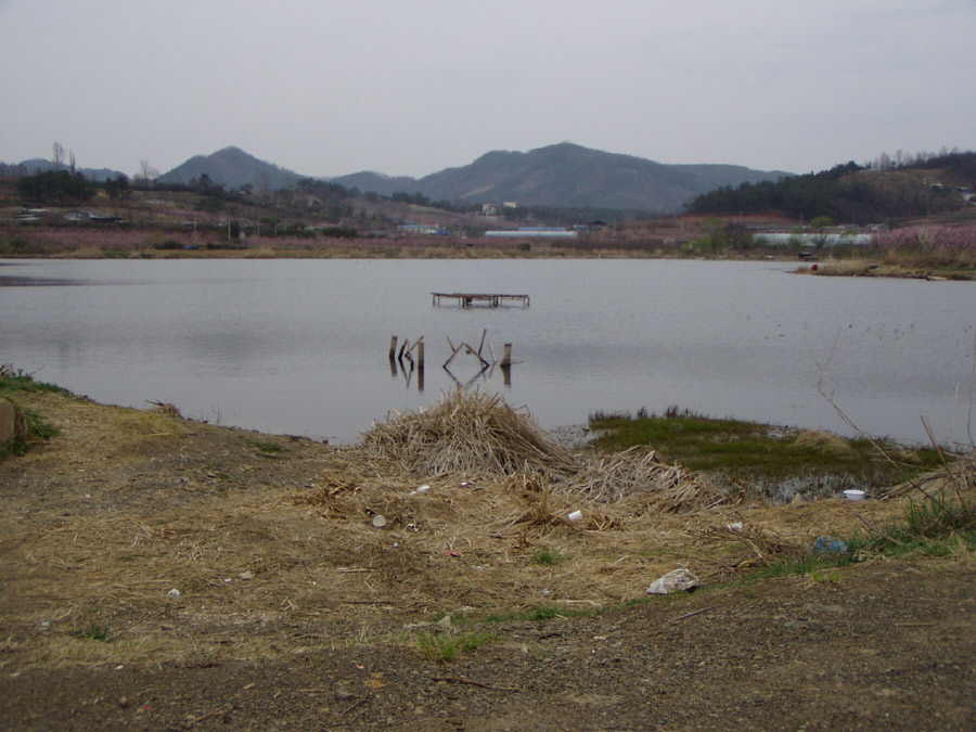040403-01.jpg