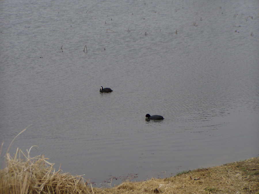 040403-03.jpg