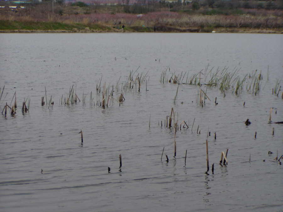 040403-05.jpg