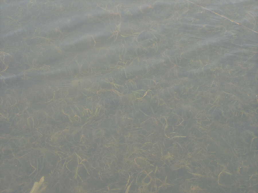 040403-06.jpg