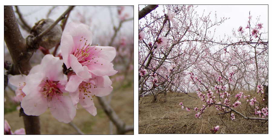 040403-08.jpg