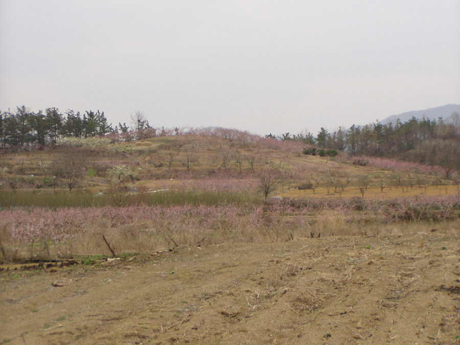 040403-10.jpg