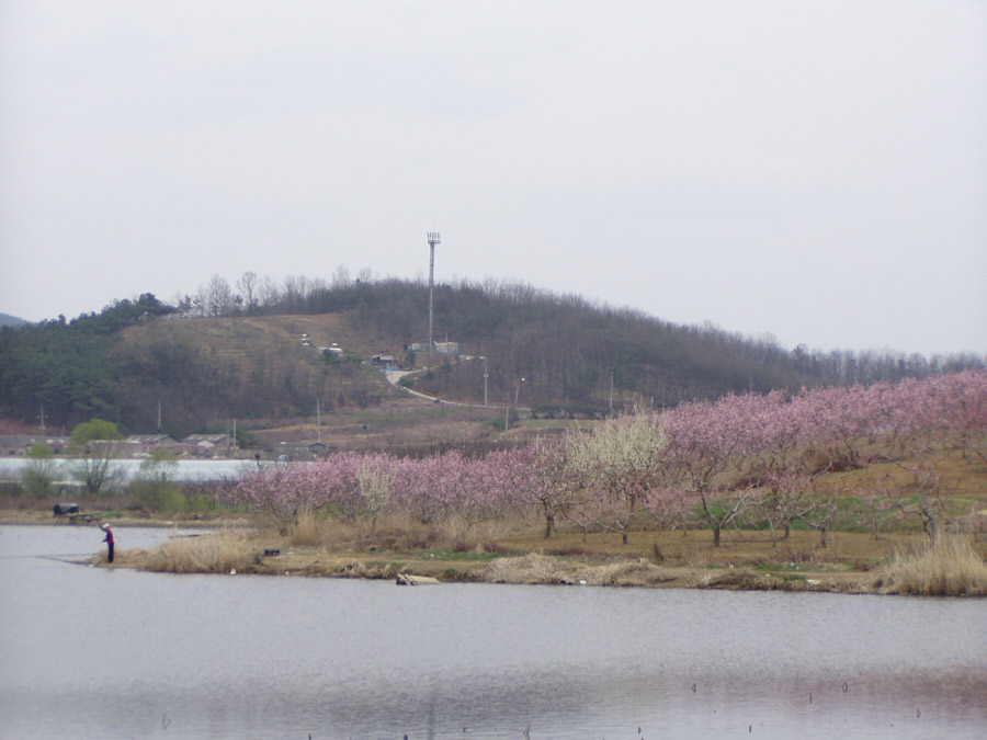 040403-11.jpg