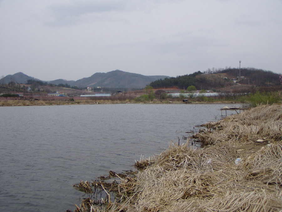 040403-14.jpg