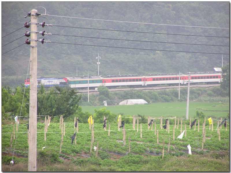 40626-30.jpg