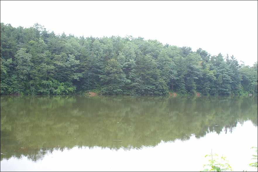 050820-09.jpg
