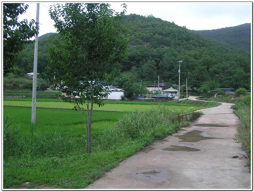 050629-07.jpg