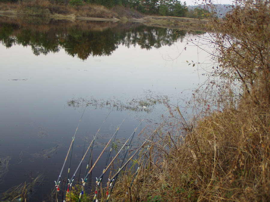 031101-07.jpg