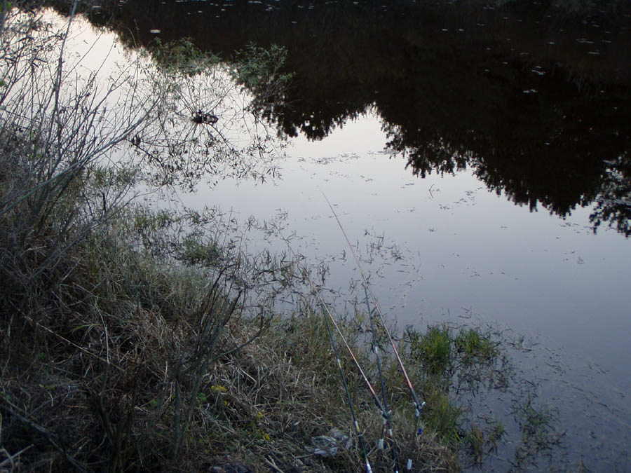 031101-08.jpg