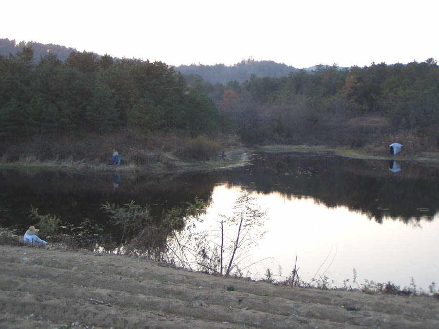 031101-10.jpg