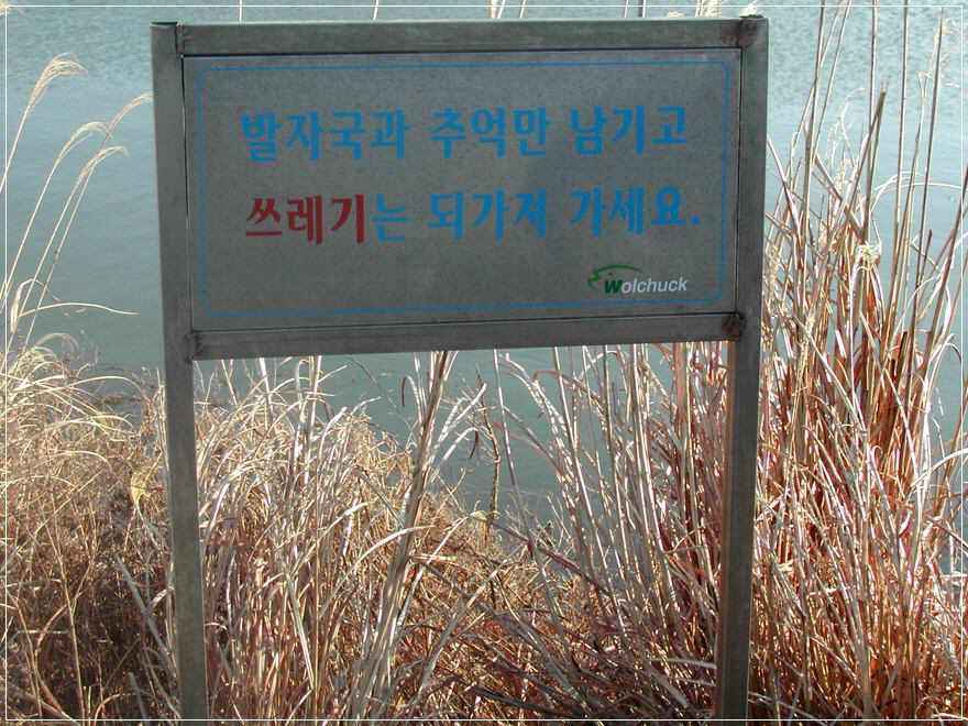 121.jpg