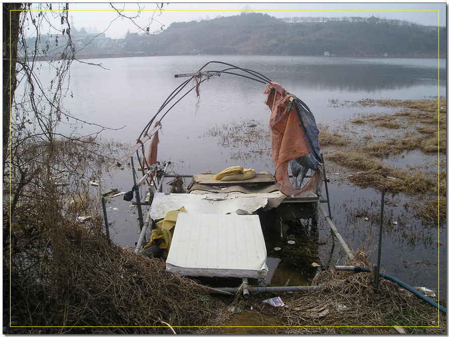 20008.jpg