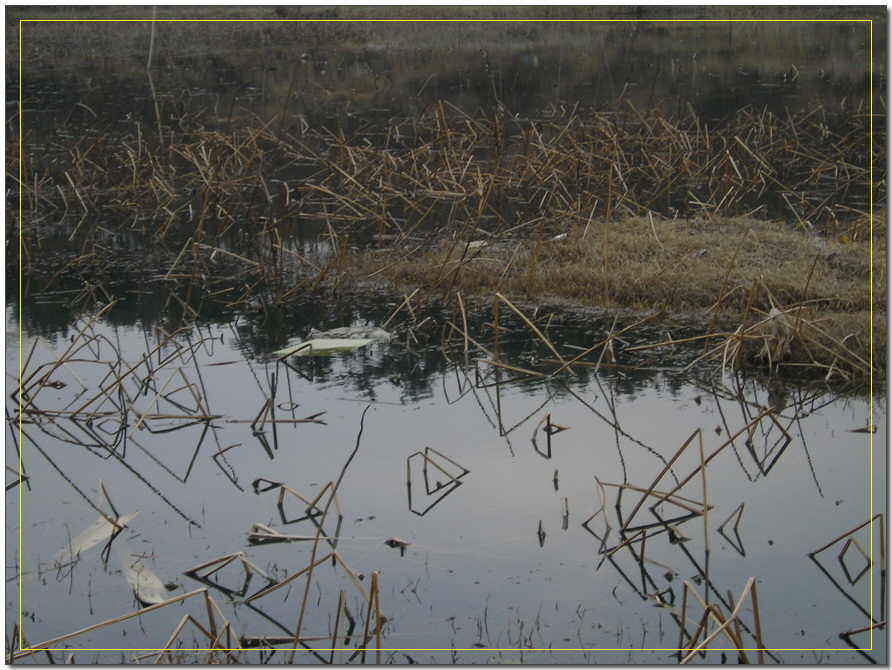 20023.jpg