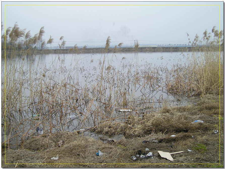 20024.jpg