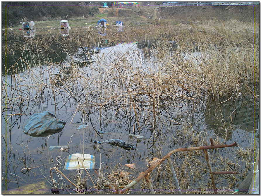 20026.jpg