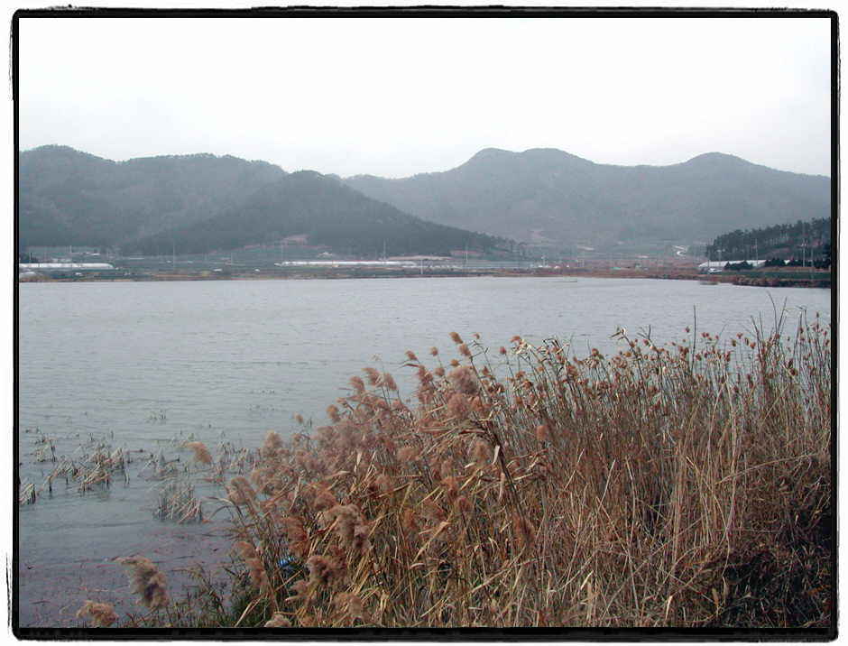 09.jpg