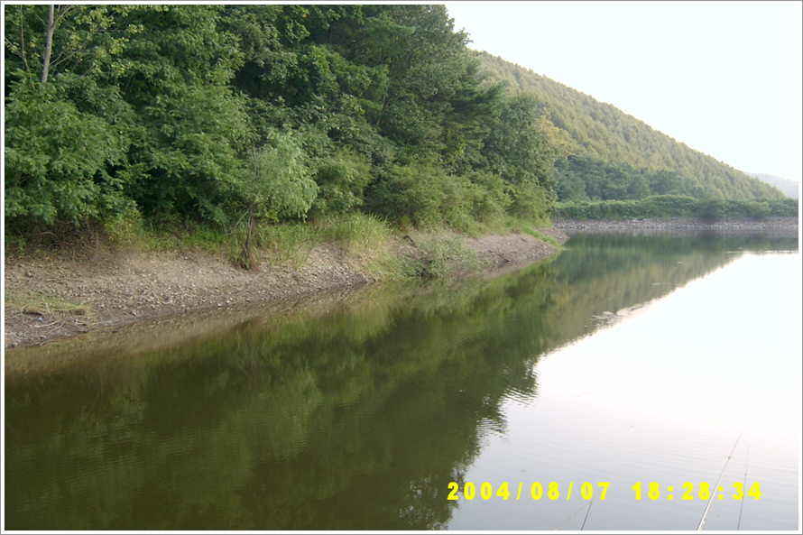 138.jpg