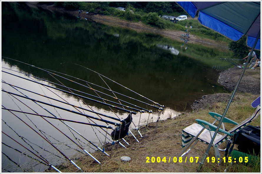 144.jpg