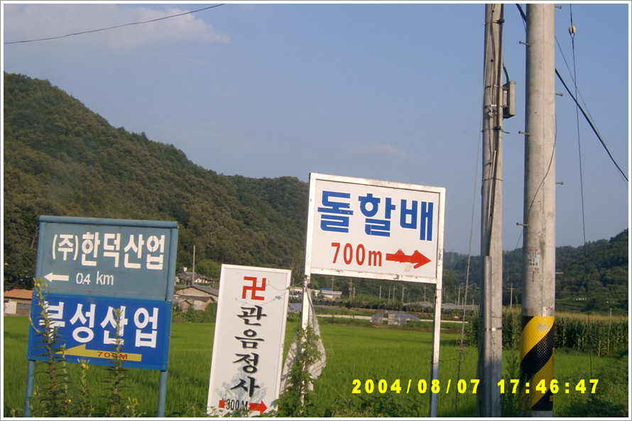 169.jpg