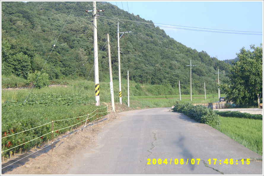 170.jpg