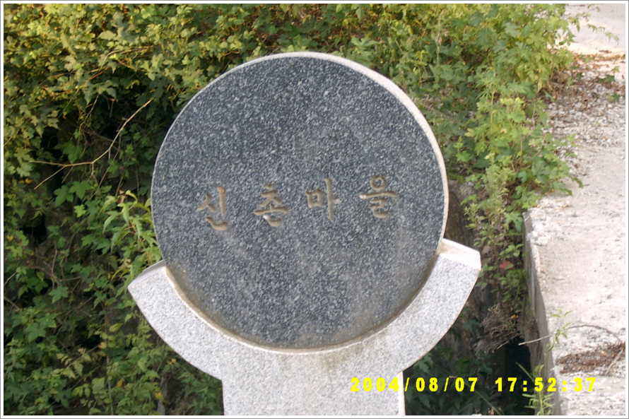 172.jpg