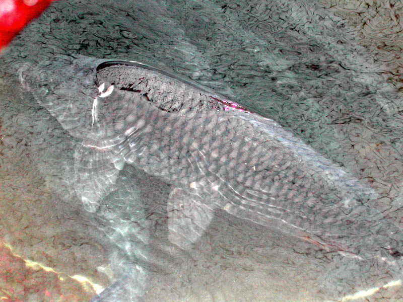 008.jpg